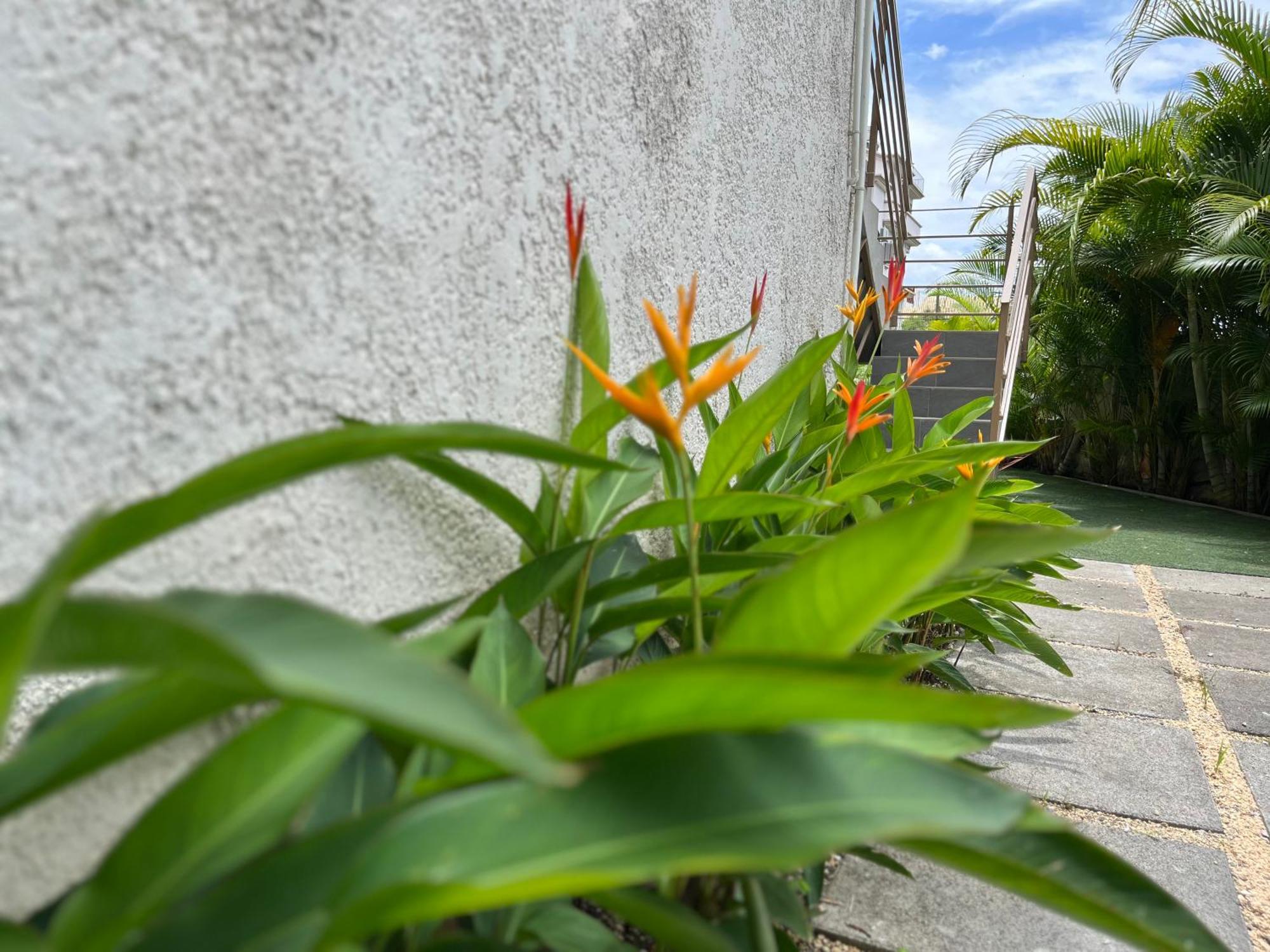 Cosy 2 Bedrooms Apts In Pereybere -Seasons Break Apartment Pereybere Beach Exterior foto